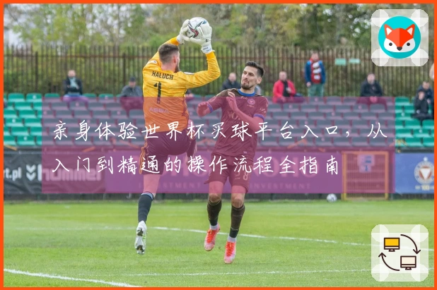 亲身体验世界杯买球平台入口，从入门到精通的操作流程全指南