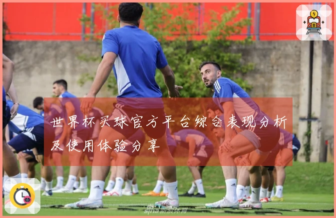 世界杯买球官方平台综合表现分析及使用体验分享