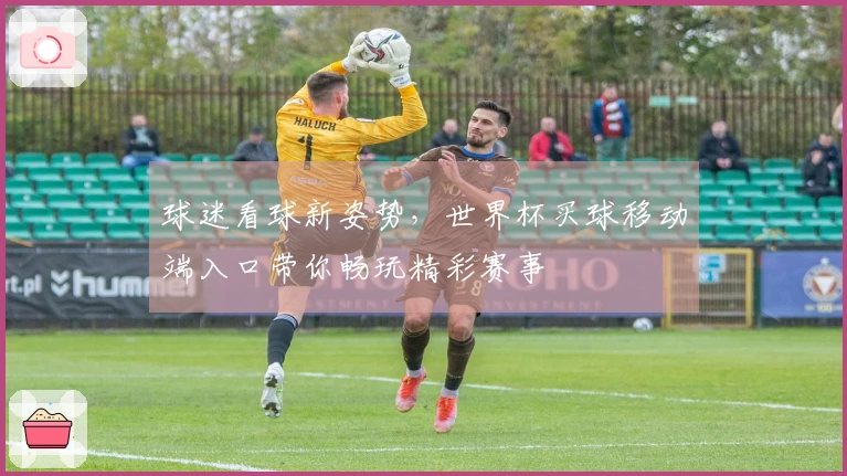 球迷看球新姿势，世界杯买球移动端入口带你畅玩精彩赛事