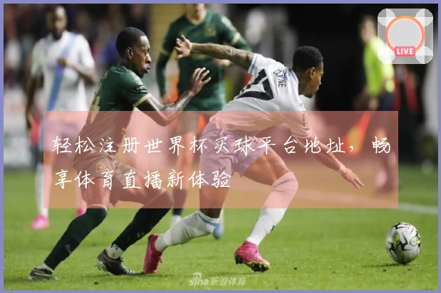 轻松注册世界杯买球平台地址，畅享体育直播新体验