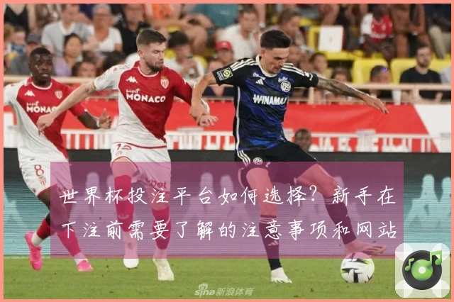 世界杯投注平台如何选择？新手在下注前需要了解的注意事项和网站对比技巧