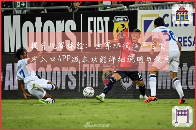 提升观赛体验：世界杯投注平台官方入口APP版本功能详细说明与使用指南