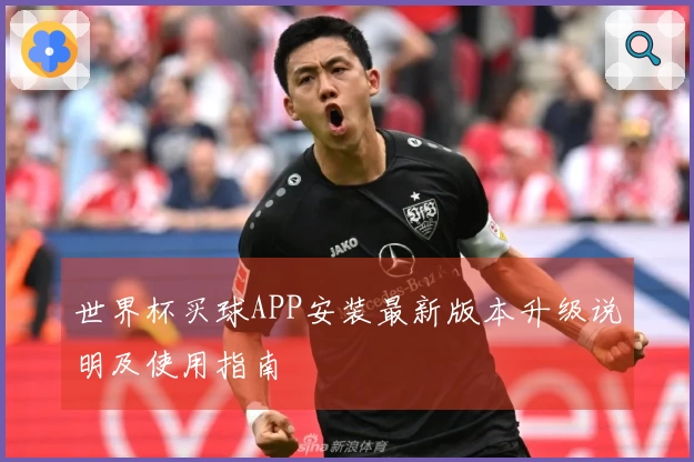 世界杯买球APP安装最新版本升级说明及使用指南