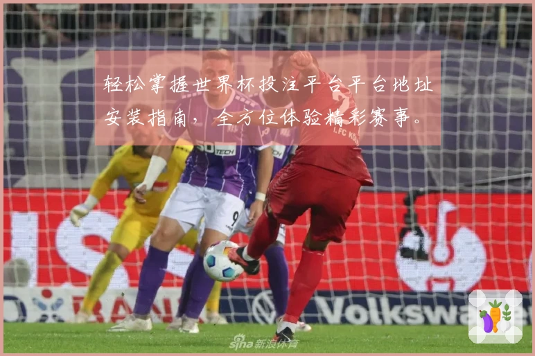 轻松掌握世界杯投注平台平台地址安装指南，全方位体验精彩赛事。
