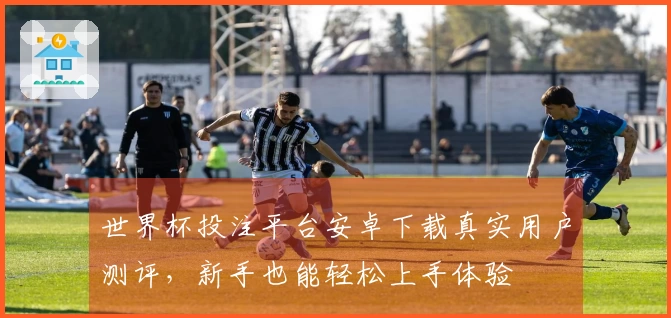 世界杯投注平台安卓下载真实用户测评，新手也能轻松上手体验