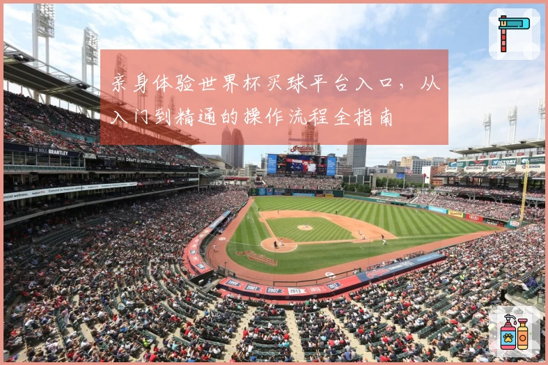 亲身体验世界杯买球平台入口，从入门到精通的操作流程全指南