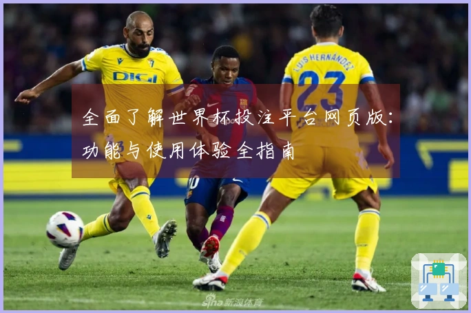 全面了解世界杯投注平台网页版：功能与使用体验全指南