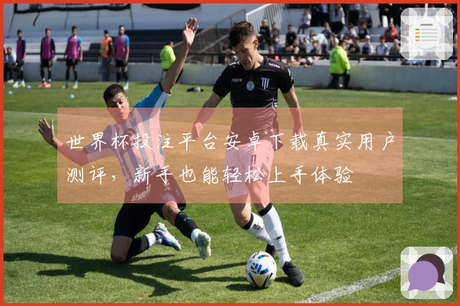 世界杯投注平台安卓下载真实用户测评,新手也能轻松上手体验