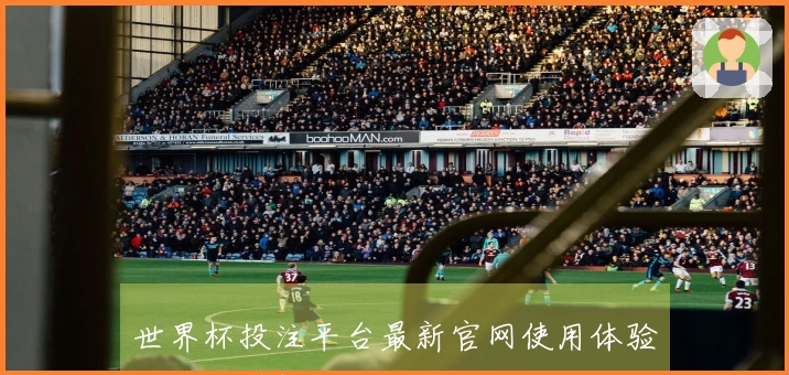 世界杯投注平台最新官网使用体验与功能详解指南